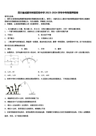 四川省成都市树德实验中学2023-2024学年中考物理押题卷含解析.doc