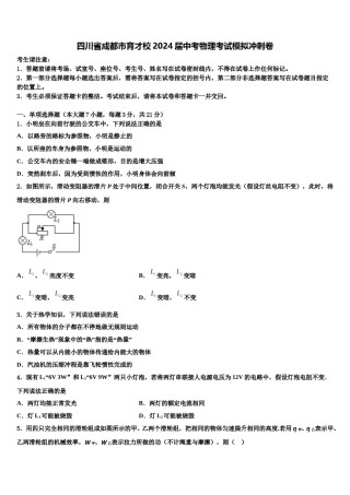 四川省成都市育才校2024届中考物理考试模拟冲刺卷含解析.doc