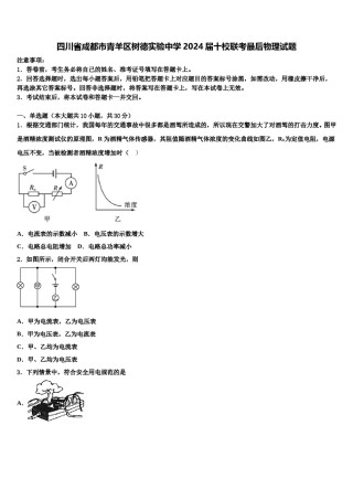 四川省成都市青羊区树德实验中学2024届十校联考最后物理试题含解析.doc
