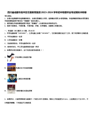 四川省成都市青羊区石室教育集团2023-2024学年初中物理毕业考试模拟冲刺卷含解析.doc
