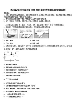 四川省泸县五中市级名校2023-2024学年中考物理对点突破模拟试卷含解析.doc
