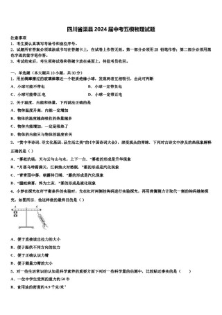 四川省渠县2024届中考五模物理试题含解析.doc