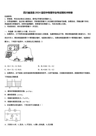 四川省渠县2024届初中物理毕业考试模拟冲刺卷含解析.doc