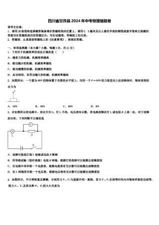 四川省甘孜县2024年中考物理猜题卷含解析.doc