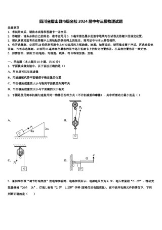 四川省眉山县市级名校2024届中考三模物理试题含解析.doc