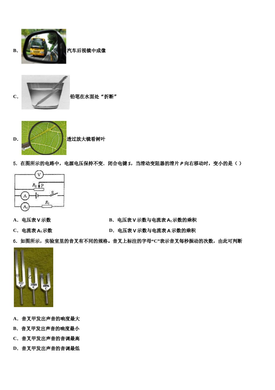 四川省简阳市养马区市级名校2024年中考物理押题卷含解析.doc_第2页