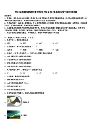 四川省简阳市简城区重点名校2023-2024学年中考五模物理试题含解析.doc