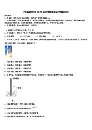 四川省自贡市2024年中考物理适应性模拟试题含解析.doc