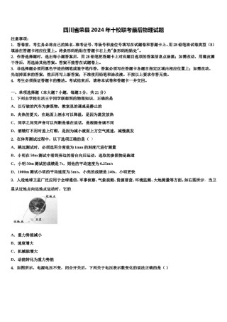 四川省荣县2024年十校联考最后物理试题含解析.doc