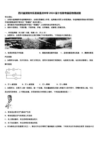 四川省资阳市乐至县重点中学2024届十校联考最后物理试题含解析.doc