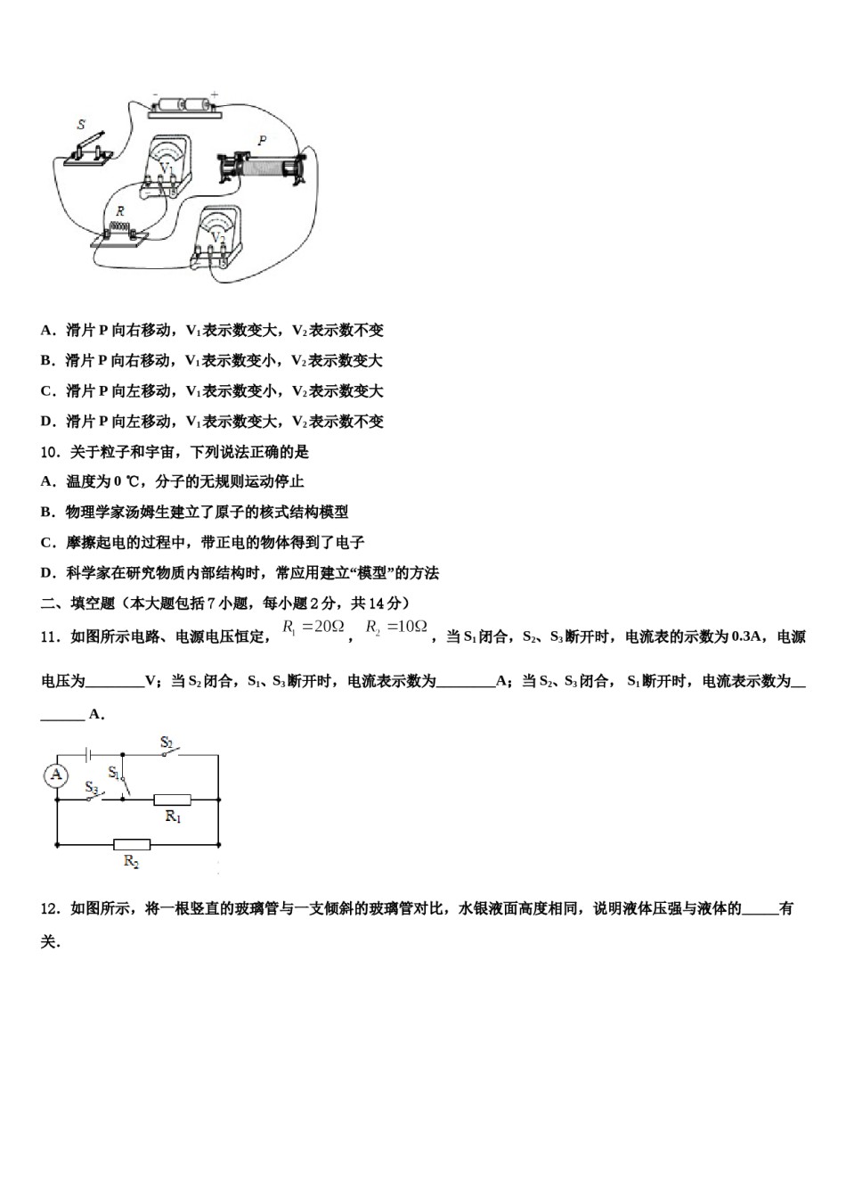 四川省资阳市资阳市雁江区重点名校2024届中考物理猜题卷含解析.doc_第3页