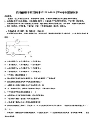 四川省资阳市雁江区迎丰祥2023-2024学年中考物理仿真试卷含解析.doc