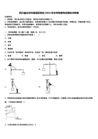 四川省达州市崇德实验校2024年中考物理考试模拟冲刺卷含解析.doc