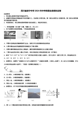 四川省遂宁中学2024年中考物理全真模拟试卷含解析.doc