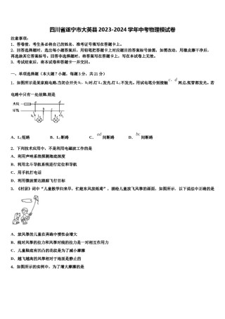 四川省遂宁市大英县2023-2024学年中考物理模试卷含解析.doc
