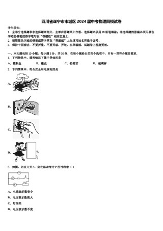 四川省遂宁市市城区2024届中考物理四模试卷含解析.doc