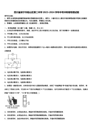 四川省遂宁市船山区第二中学2023-2024学年中考冲刺卷物理试题含解析.doc