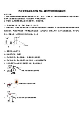 四川省青神县重点名校2024届中考物理模拟精编试卷含解析.doc