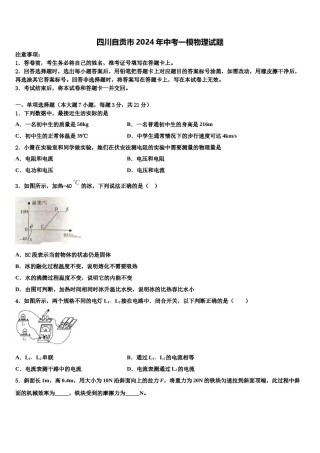 四川自贡市2024年中考一模物理试题含解析.doc