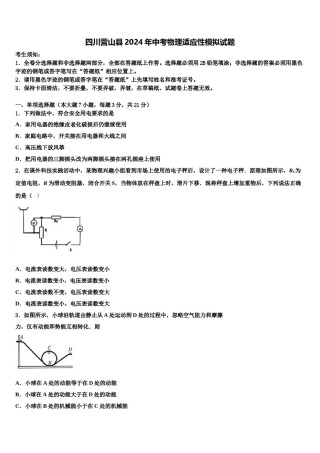 四川营山县2024年中考物理适应性模拟试题含解析.doc