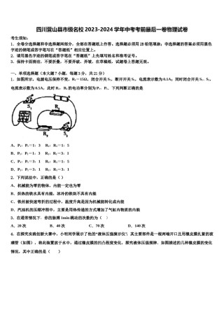 四川营山县市级名校2023-2024学年中考考前最后一卷物理试卷含解析.doc