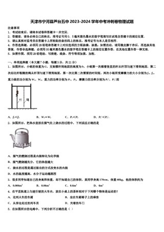 天津市宁河县芦台五中2023-2024学年中考冲刺卷物理试题含解析.doc