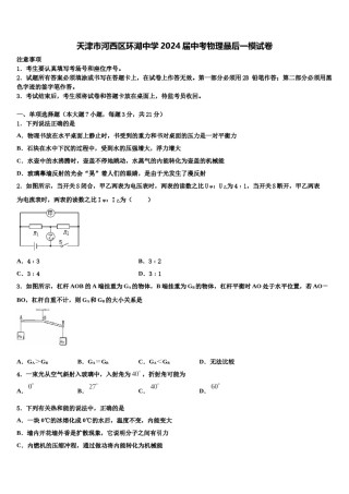 天津市河西区环湖中学2024届中考物理最后一模试卷含解析.doc