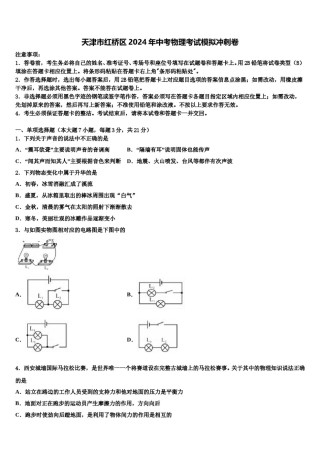 天津市红桥区2024年中考物理考试模拟冲刺卷含解析.doc