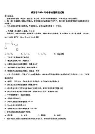 威海市2024年中考物理押题试卷含解析.doc