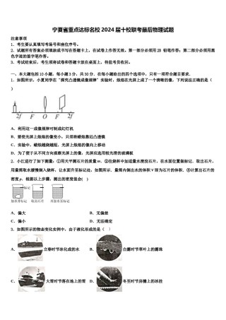 宁夏省重点达标名校2024届十校联考最后物理试题含解析.doc