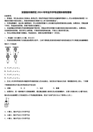 安徽宿州埇桥区2024年毕业升学考试模拟卷物理卷含解析.doc