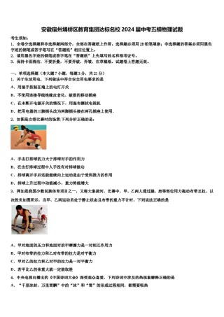 安徽宿州埇桥区教育集团达标名校2024届中考五模物理试题含解析.doc