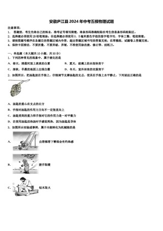 安徽庐江县2024年中考五模物理试题含解析.doc