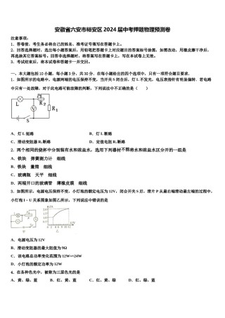 安徽省六安市裕安区2024届中考押题物理预测卷含解析.doc