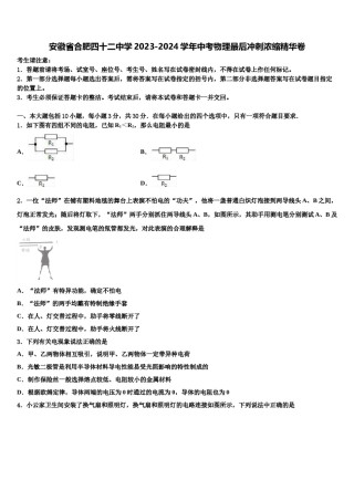 安徽省合肥四十二中学2023-2024学年中考物理最后冲刺浓缩精华卷含解析.doc