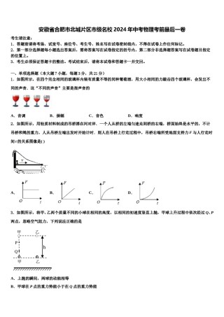 安徽省合肥市北城片区市级名校2024年中考物理考前最后一卷含解析.doc