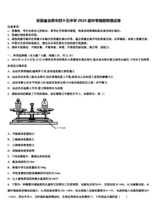 安徽省合肥市四十五中学2024届中考猜题物理试卷含解析.doc