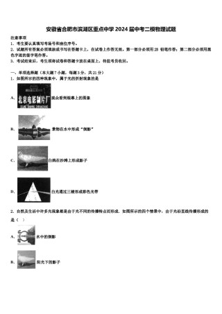 安徽省合肥市滨湖区重点中学2024届中考二模物理试题含解析.doc