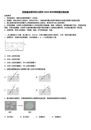 安徽省合肥市科大附中2024年中考物理五模试卷含解析.doc