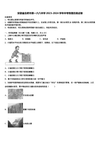 安徽省合肥市第一六八中学2023-2024学年中考物理仿真试卷含解析.doc