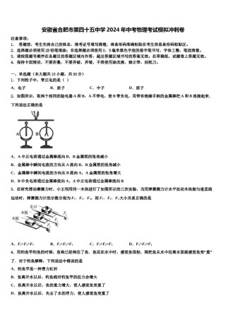 安徽省合肥市第四十五中学2024年中考物理考试模拟冲刺卷含解析.doc