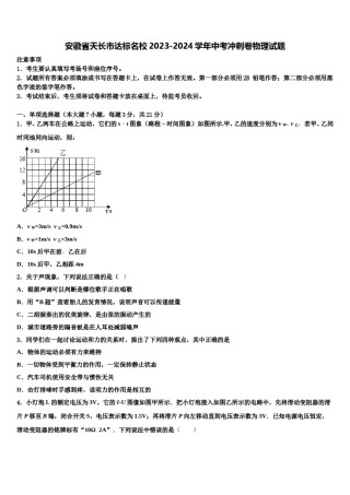安徽省天长市达标名校2023-2024学年中考冲刺卷物理试题含解析.doc