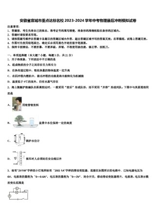 安徽省宣城市重点达标名校2023-2024学年中考物理最后冲刺模拟试卷含解析.doc