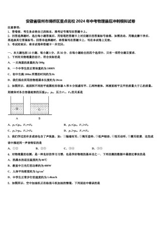 安徽省宿州市埇桥区重点名校2024年中考物理最后冲刺模拟试卷含解析.doc