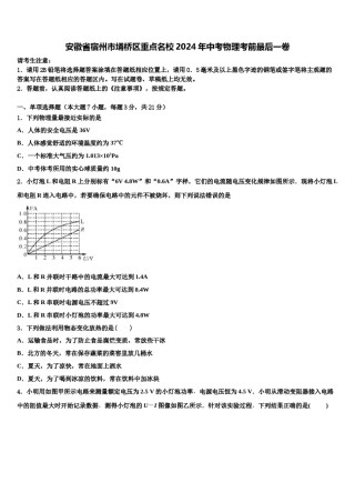 安徽省宿州市埇桥区重点名校2024年中考物理考前最后一卷含解析.doc