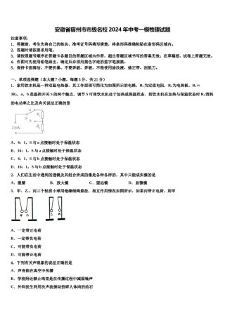 安徽省宿州市市级名校2024年中考一模物理试题含解析.doc