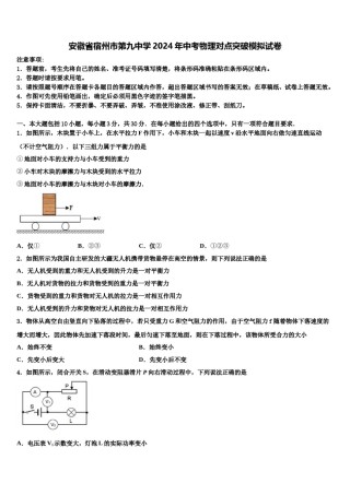 安徽省宿州市第九中学2024年中考物理对点突破模拟试卷含解析.doc