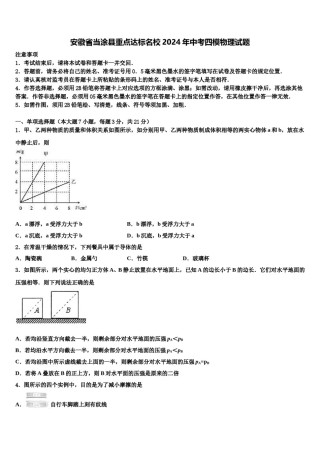 安徽省当涂县重点达标名校2024年中考四模物理试题含解析.doc