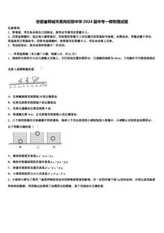 安徽省桐城市黄岗初级中学2024届中考一模物理试题含解析.doc