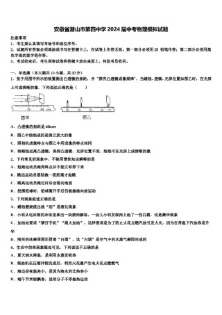 安徽省潜山市第四中学2024届中考物理模拟试题含解析.doc